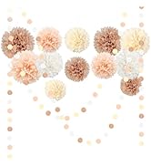 NICROHOME EUR Wedding Party Decorations Set, 15 PCS Ivory White Tissue Paper Pom Poms, Dots Paper...