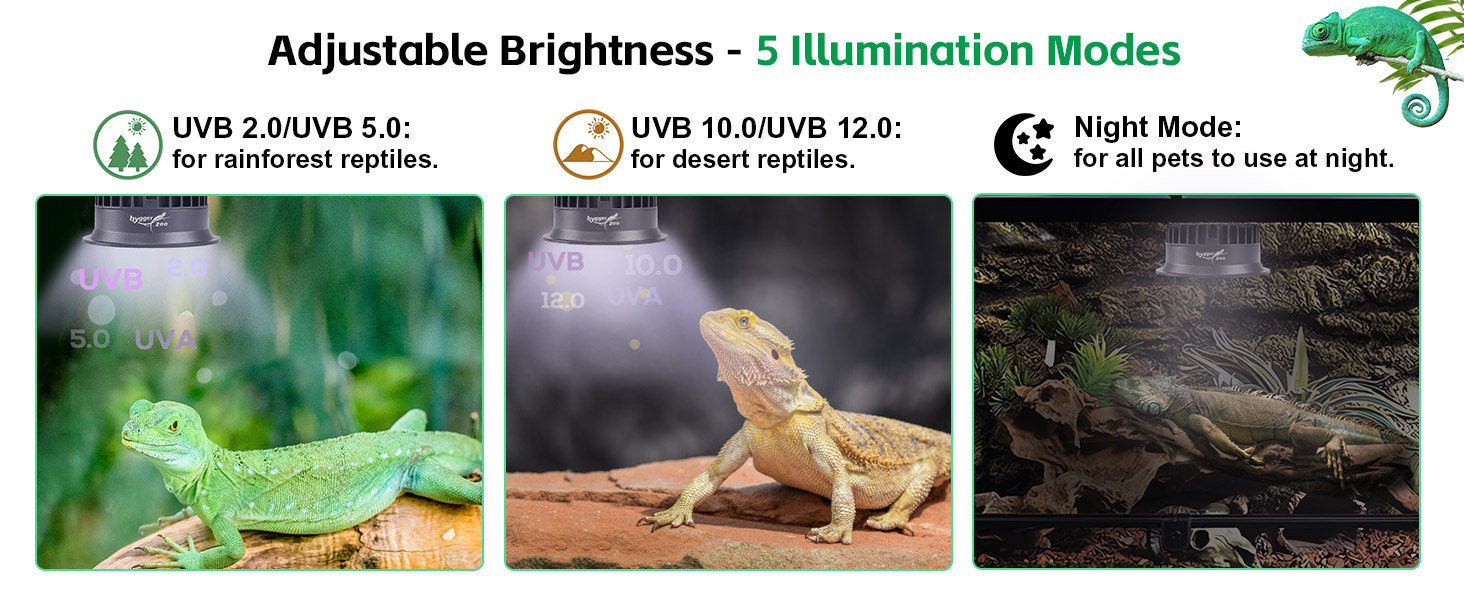t5 uvb reptile light fixture
