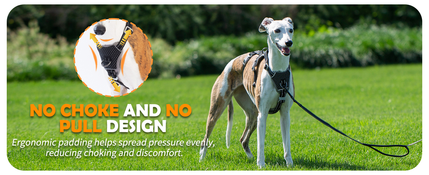 escape proof dog harness