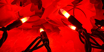 orange lights string