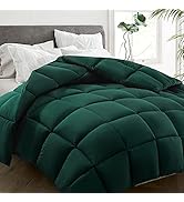 HYLEORY All Season Queen Size Bed Comforter - Cooling Goose Down Alternative Quilted Duvet Insert...