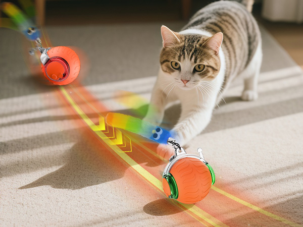 rolling cat toy