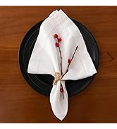 EVERLY Cloth Napkins 20X20Inch 100% Pure Linen Napkins Handstitched Premium Quality Dinner Napkin...
