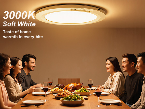 3000K Soft White