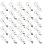 ST38 Replacement LED Light Bulbs, Shatterproof & Waterproof 0.6W ST38 LED Bulbs, Outdoor String L...
