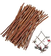 Veemoon Plants Decor 50pcs Wood Log Sticks DIY Craft Sticks Photo Stick Natural Twig Diftwood Sti...