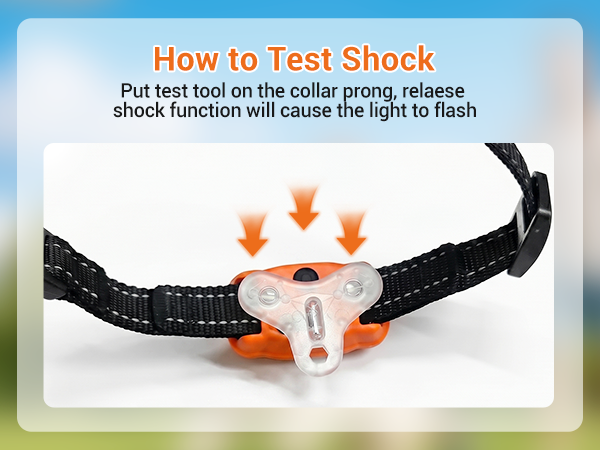 dog training collar with remote