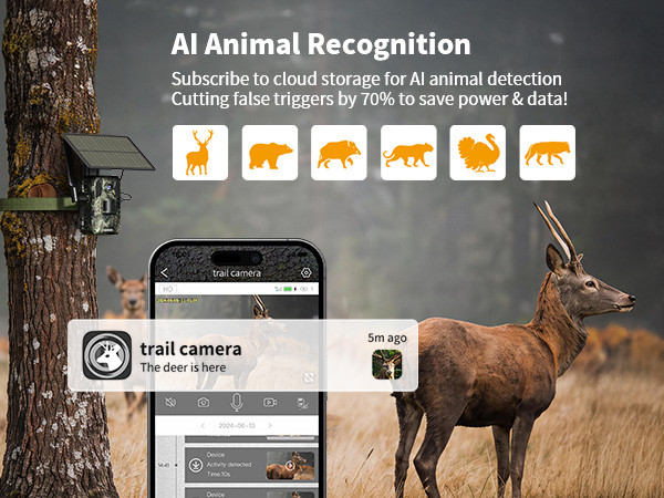 trail camera