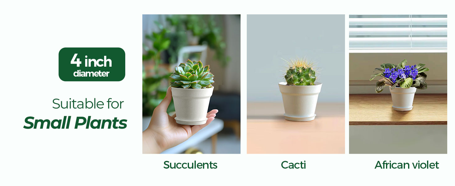 plant pots