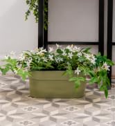 garden pots