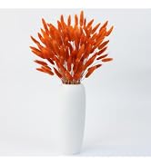 120pcs Bunny Tail Dried Flowers, 16 inch Burnt Orange Bunny Tail, Natural Bulk Dried Flowers for ...