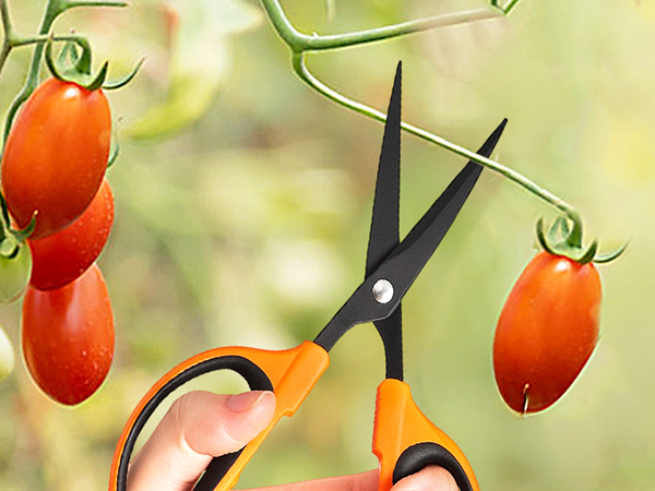 garden scissors