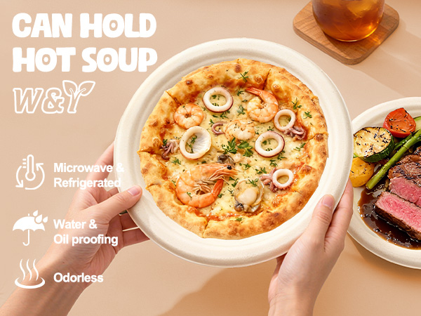 100-Count Disposable Compostable Bowls