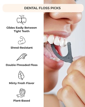 Dental Floss Picks