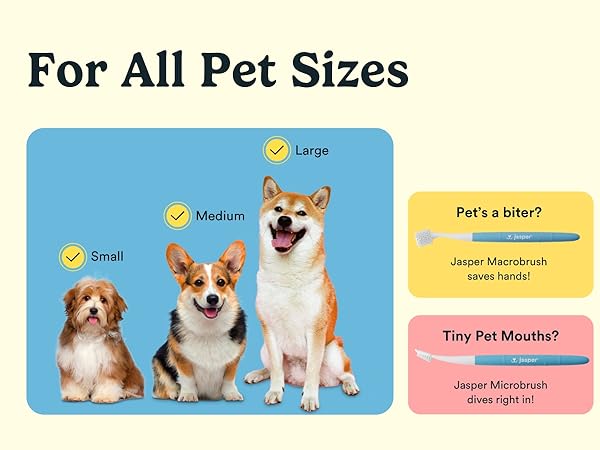for all pet sizes