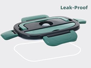Electric lunch box