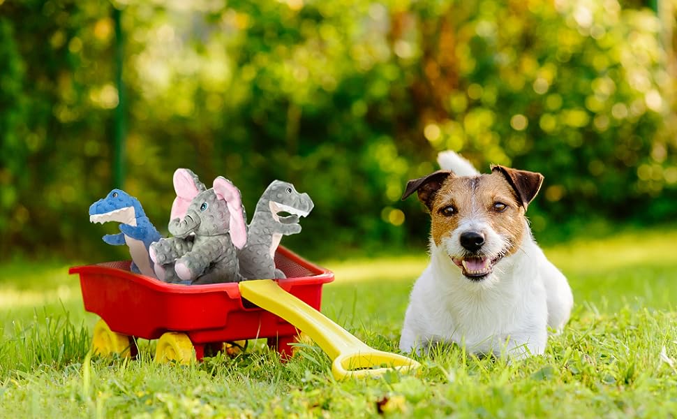 Dog Toys