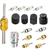 Qurbuns Car Air Conditioning Valve Core Kits, R12 R134a A/C Refrigeration Valve Stem Cores & Caps...