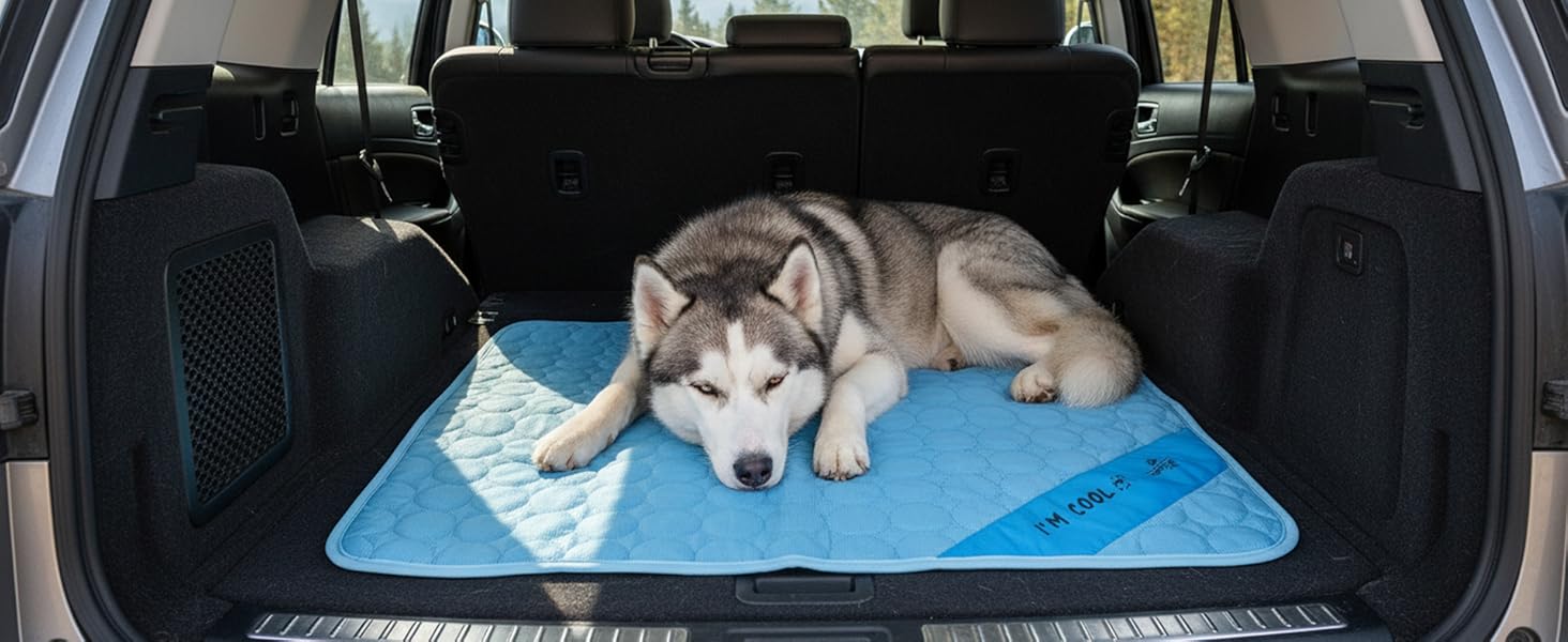 husky lying in the cargo area trunk on a cooling mat