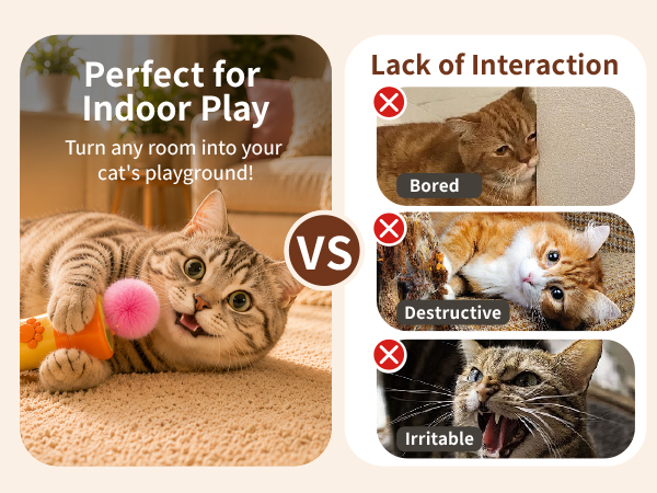 cat toy