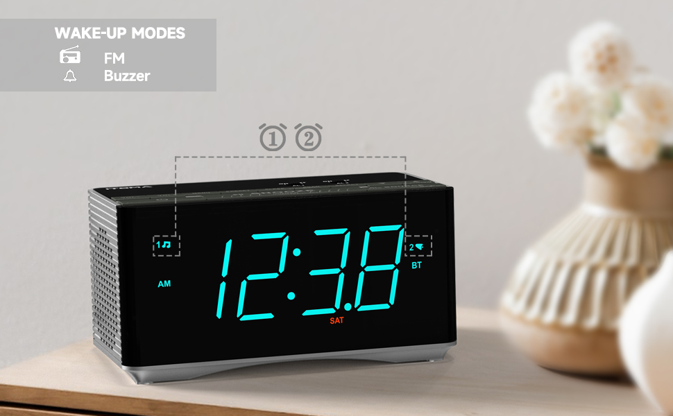 Dual Alarm