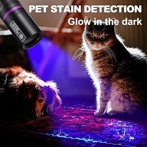 Quality 365nm UV LED