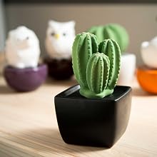 aromatherapy diffuser