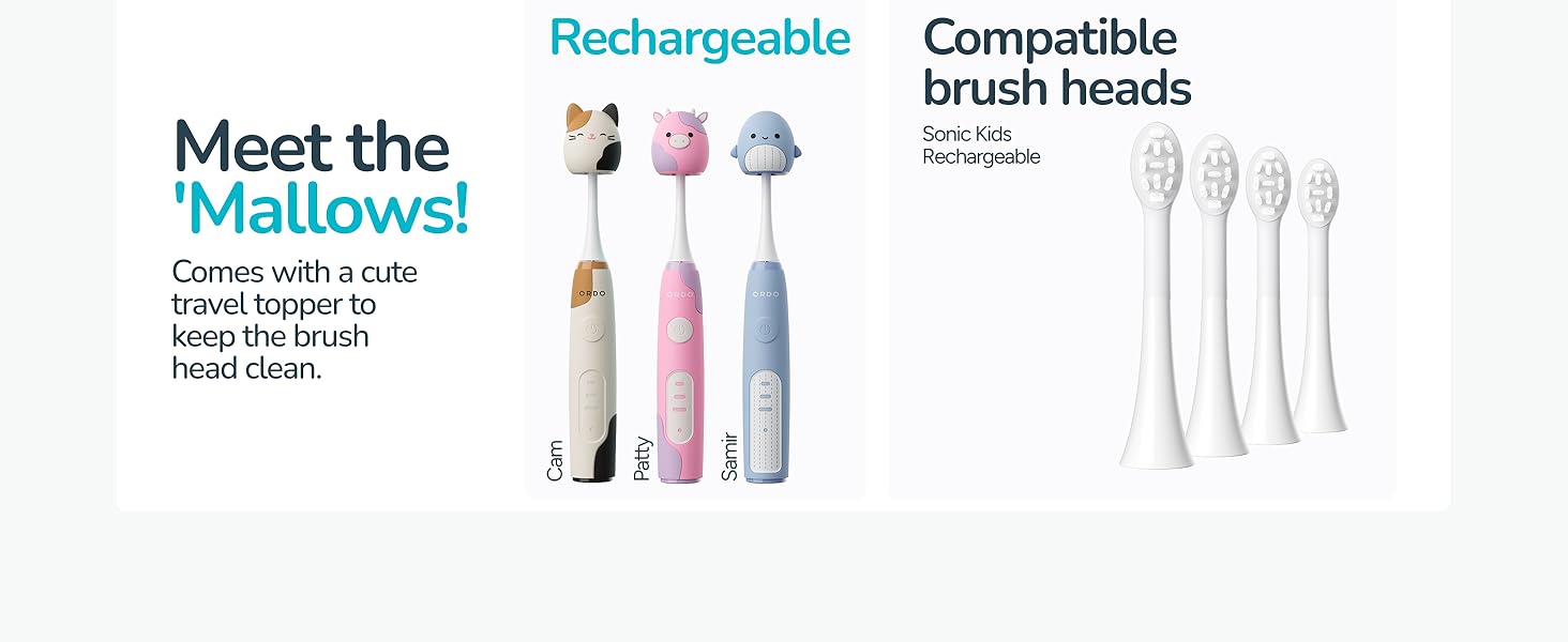 Text reads 'Rechargeable', 'Compatible', 'Meet the', 'brush heads'. Product display showing electric toothbrush heads in white and pink colors with compatibility information.