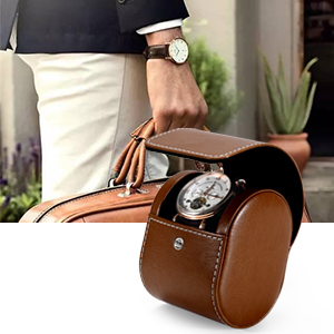 Travel Watch Storage