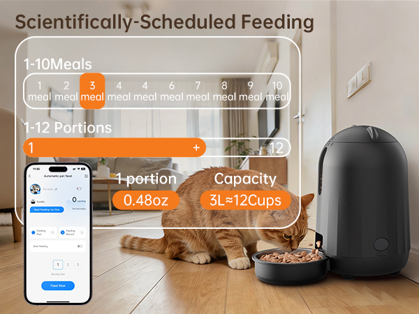 cat essentials for indoor cats dog food dispenser automatic cat food dispenser automatic