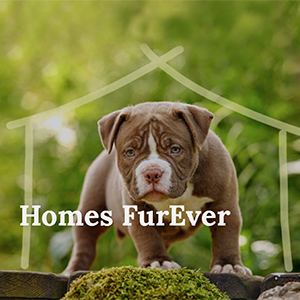 Homes FurEver