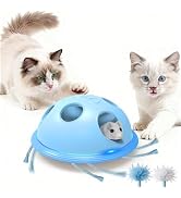 Pawingcat Automaitc Cat String Toy 6 Holes Whack a Mole Cat Toy with Plush Running Cat Mouse Toy ...
