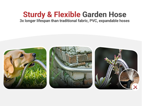 garden hose 100ft