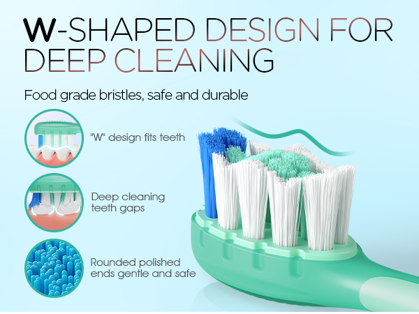W-SHAPED BRUSH HEAD