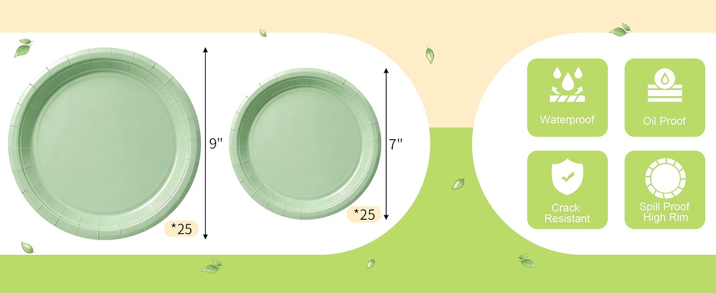 Paper Plate