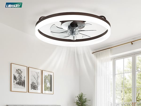 ceiling fan