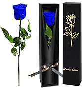 Blue Single Forever Roses Luxury Gift for Women/Men, Fresh Flowers Bouquet for Girlfriend, Wife, ...