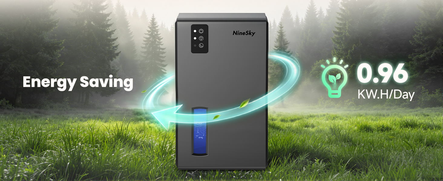 dehumidifiers for home