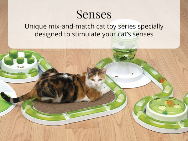 Senses