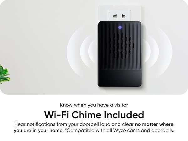 Wyze Duo Cam Doorbell Chime
