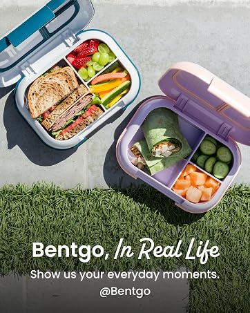 bentgo social media meal containers lunch boxes chill