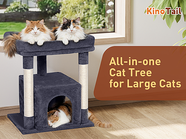 cat tree for large cats
