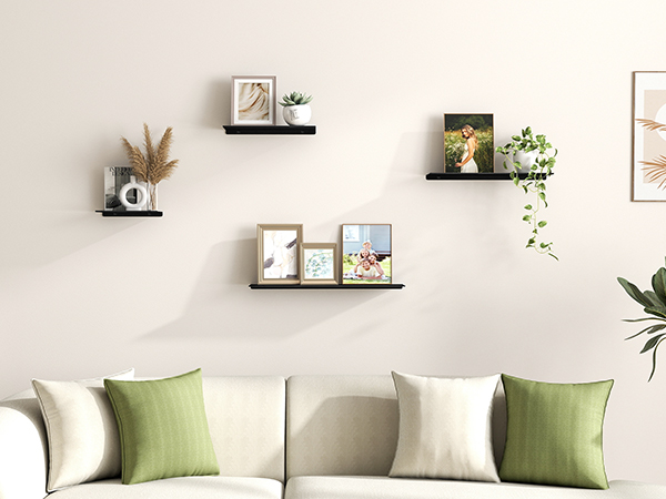 Living Room Shelves