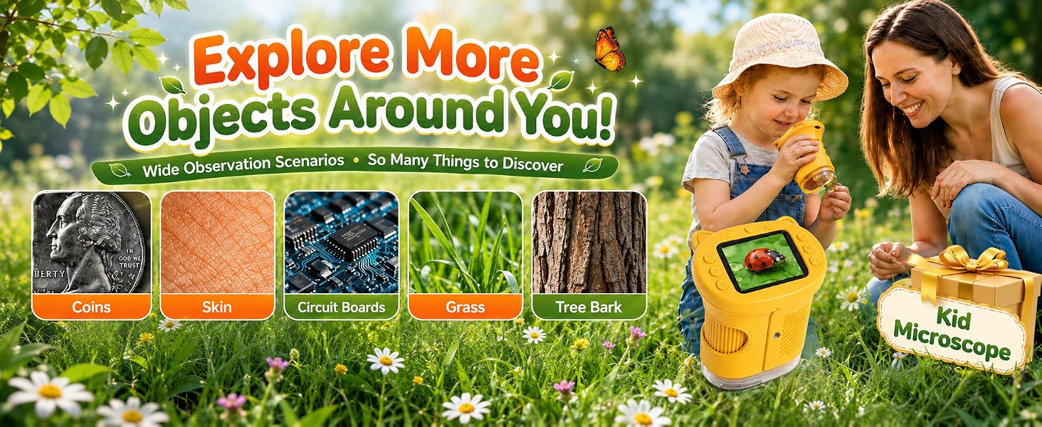 Explore More Objects Around You!