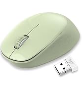 LeadsaiL Wireless Mouse for Laptop 2.4G Silent Cordless USB Mouse Slim Wireless Optical Computer ...