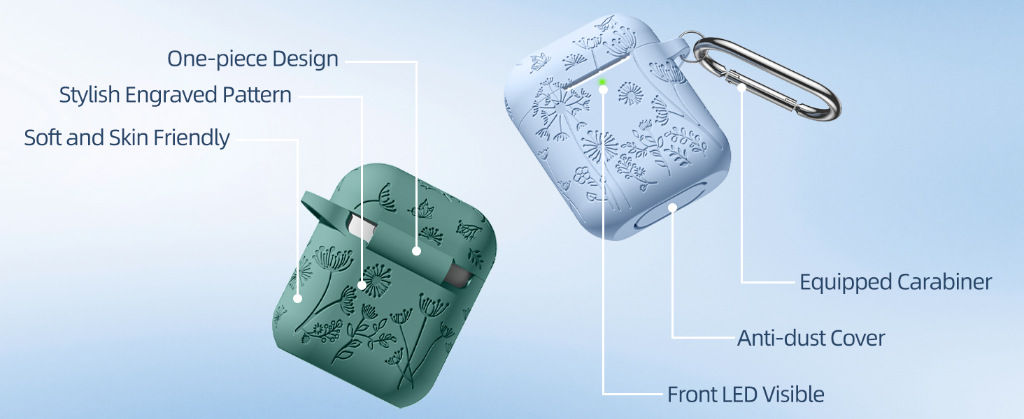 airpod case