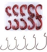 Alwonder 100-Pack EWG Hooks Bass Fishing Worm Hooks Kit Freshwater Saltwater, Wide Gap 2X Strong ...
