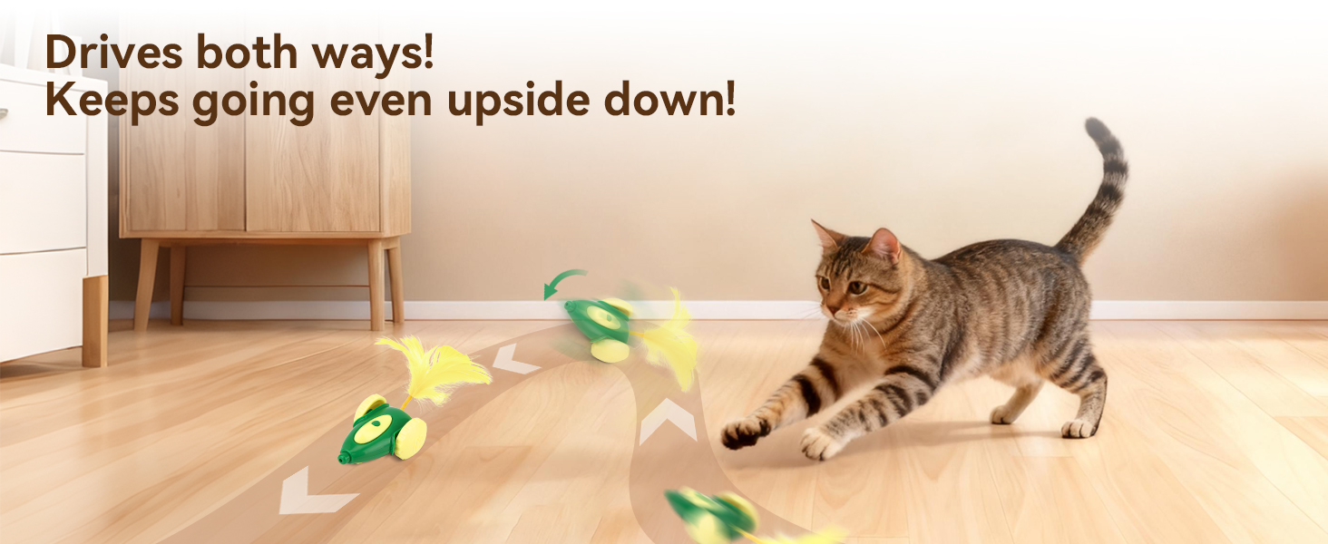 Migipaws cat toy