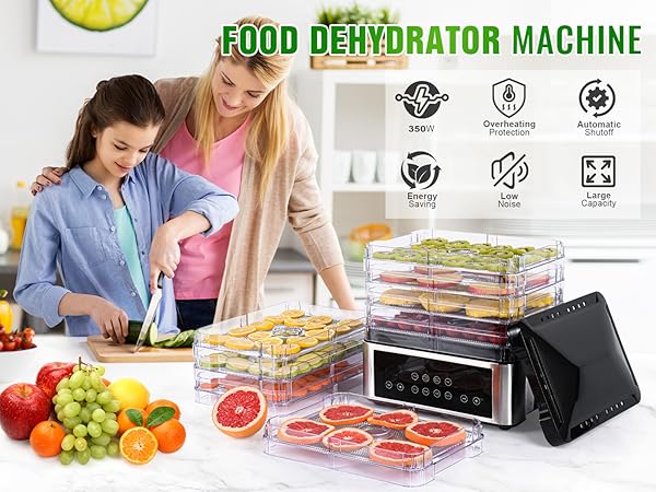 Food Dehydrator Machine