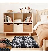 Ehayx Black and White Rugs for Bedroom, 2x3 Soft Fluffy Small Area Rug for Living Room, Shag Beds...